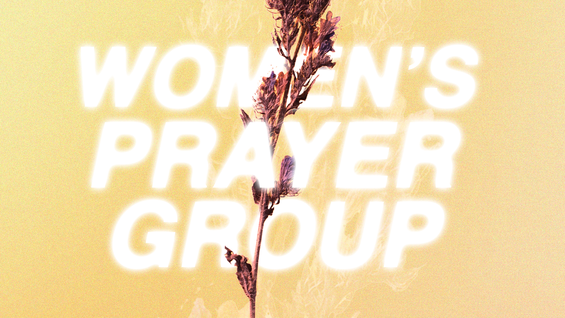 Women's Prayer Group